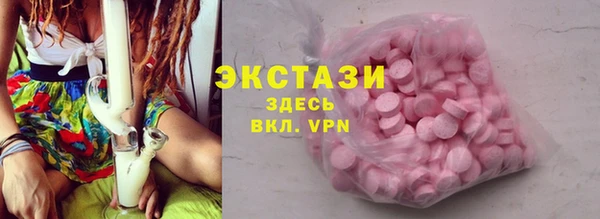 соль ск Новозыбков