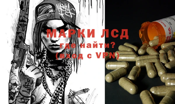 соль ск Новозыбков