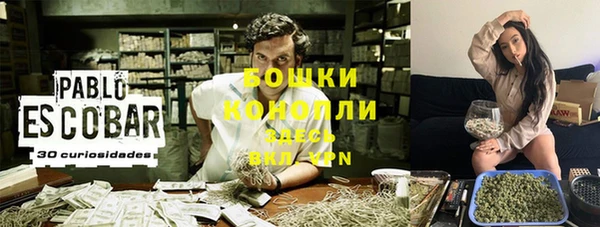 ECSTASY Новодвинск