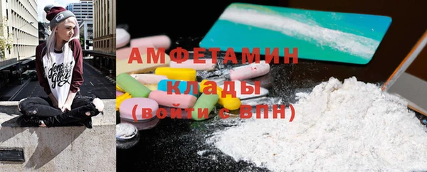 соль ск Новозыбков